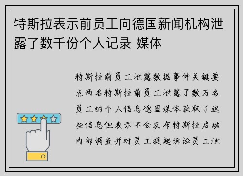 特斯拉表示前员工向德国新闻机构泄露了数千份个人记录 媒体